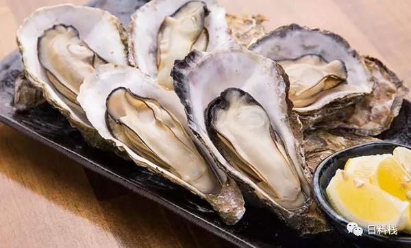 真牡蛎 你猜世界上最常见的牡蛎在日本过得好吗 知乎