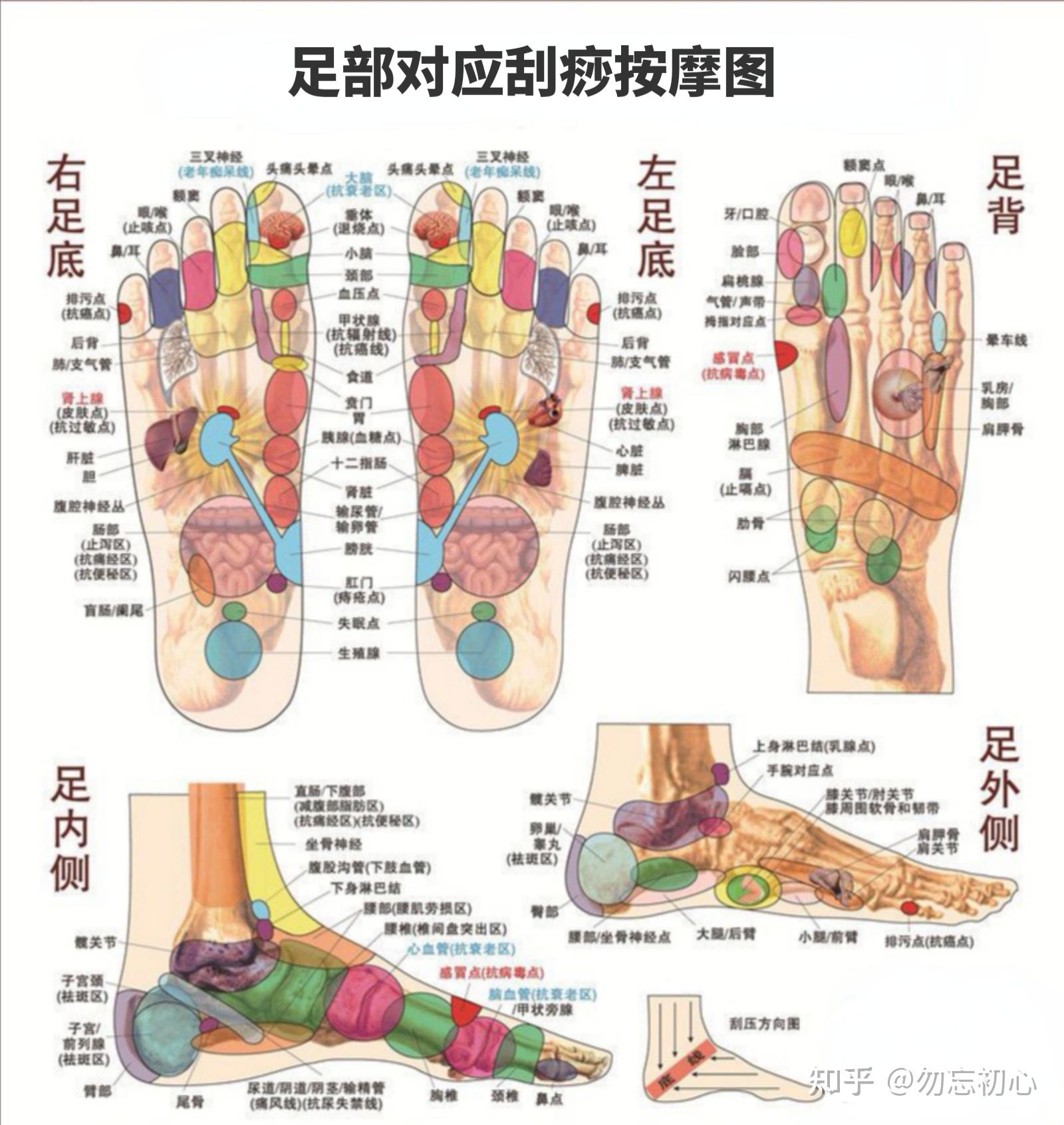 足部按摩图及解析图片