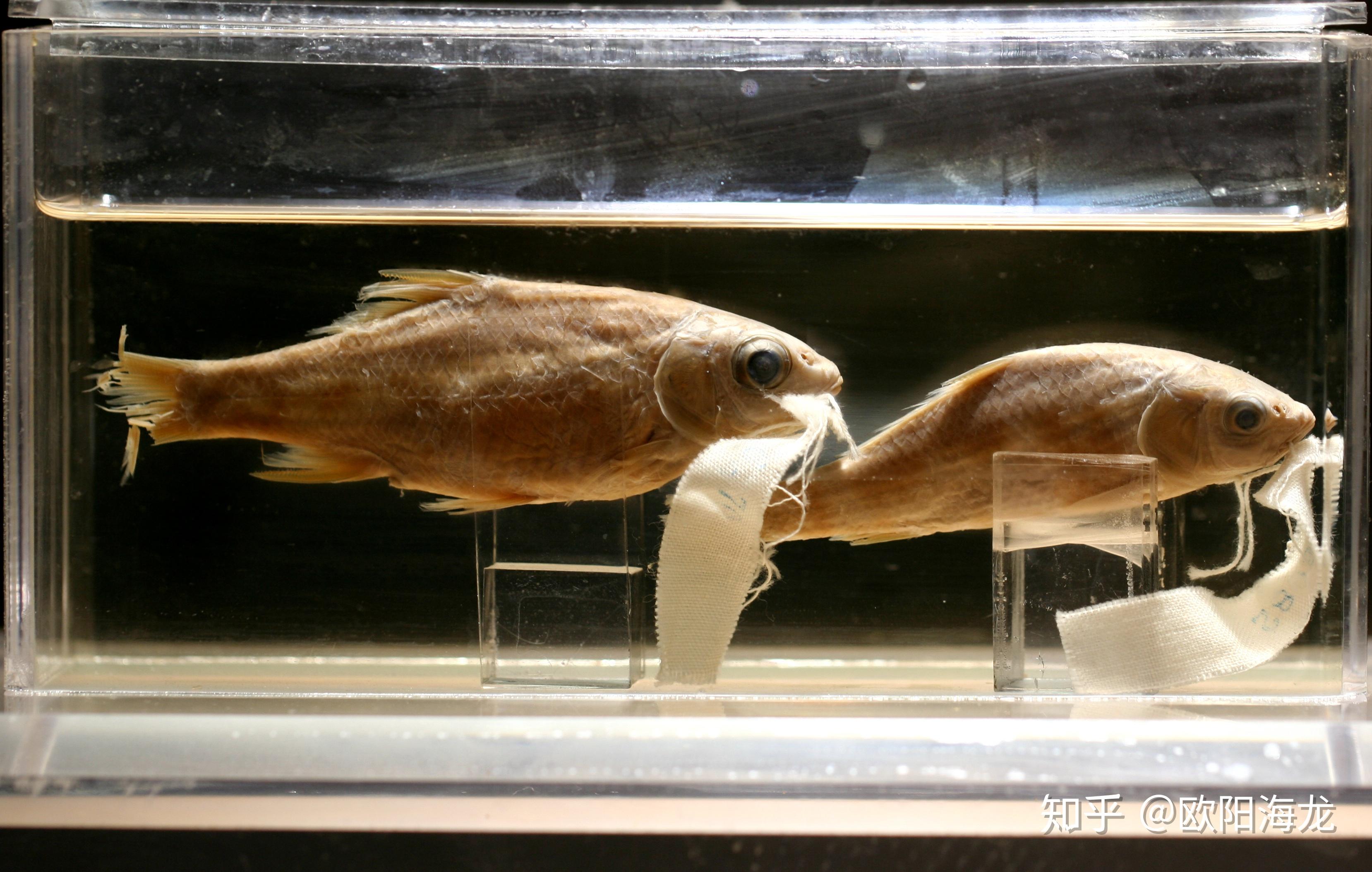 走进水生生物博物馆