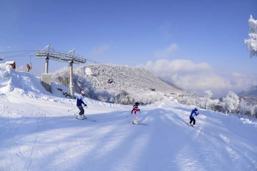 还去什么北海道!这7家天然滑雪场,让你尽情驰骋