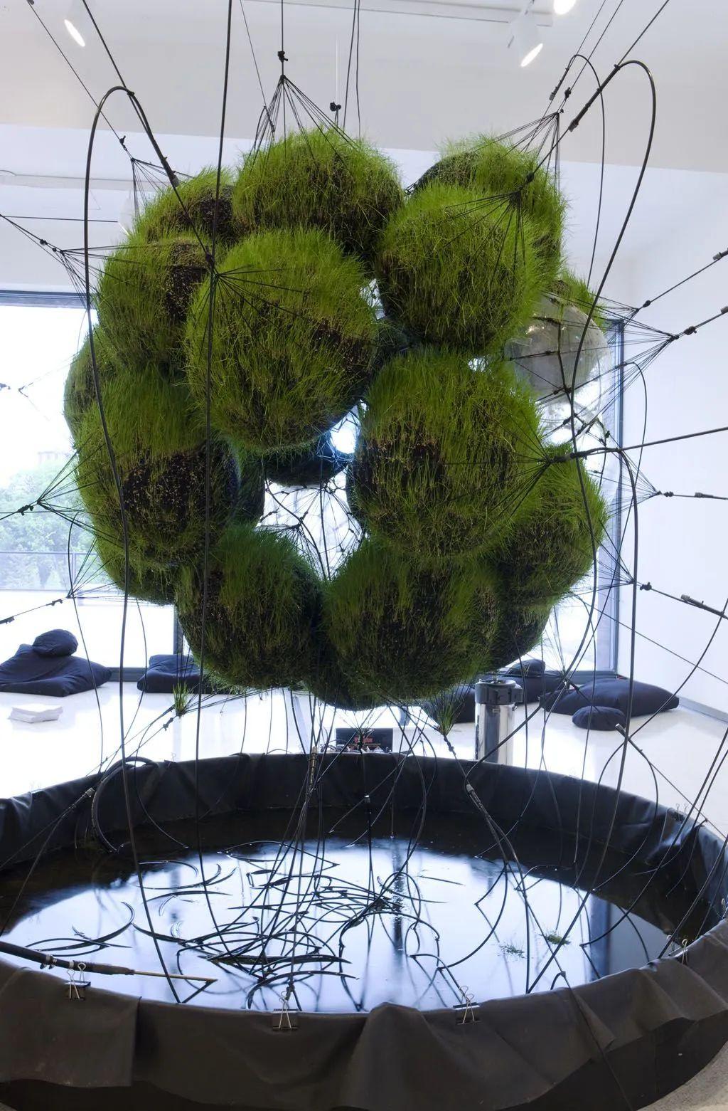 装置艺术生物与生态的艺术之旅