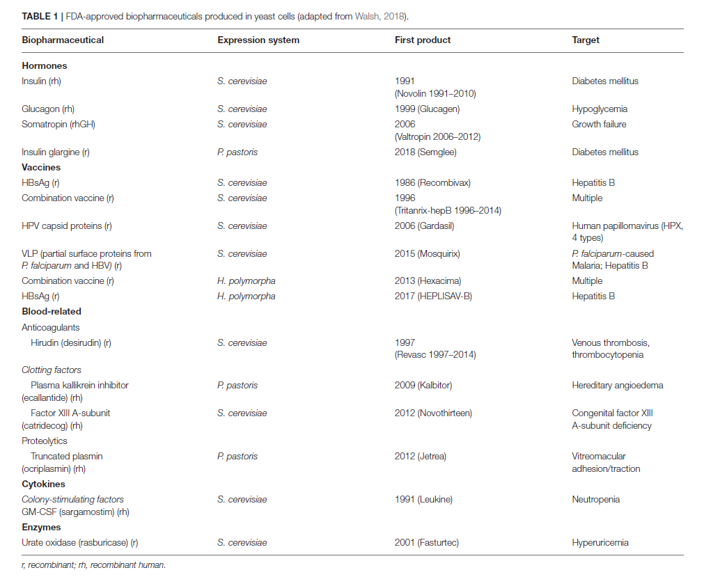 【领康时代CDMO】毕赤酵母 —— 经济、高效、多功能的微生物表达系统 - 知乎