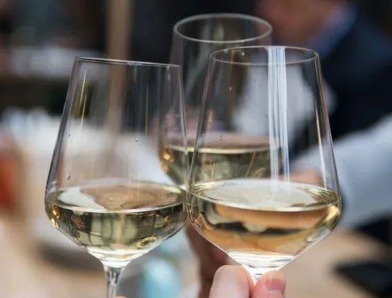 酒里有毒pen友来碰个杯吧