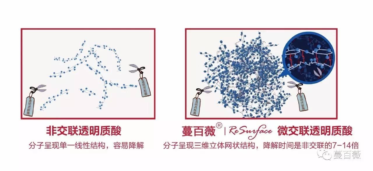 交联透明质酸钠凝胶更接近于人体自身玻尿酸形态,更具良好的生物相容