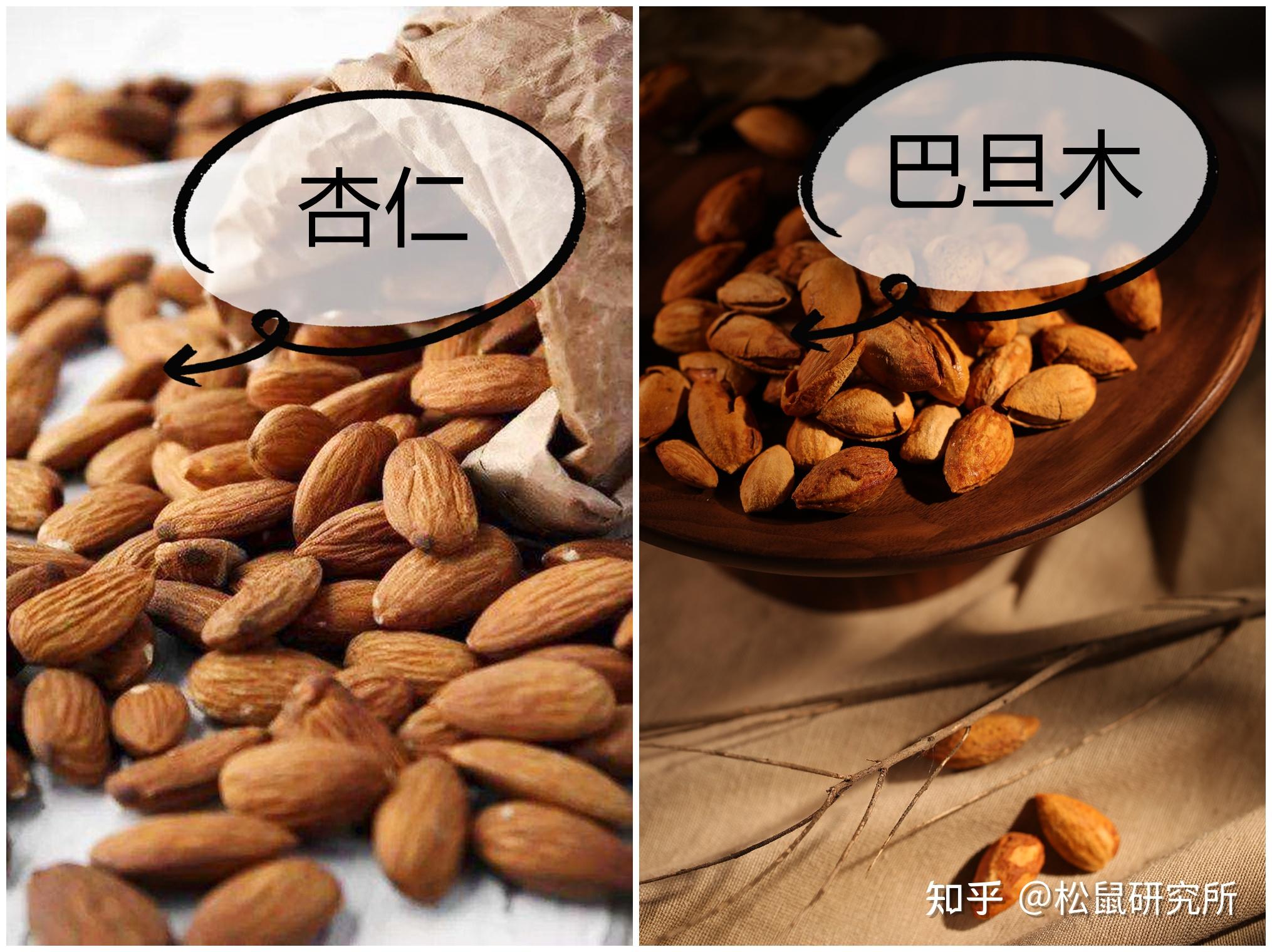 巴西松子不是巴西的松子,美国大杏仁不是杏仁.
