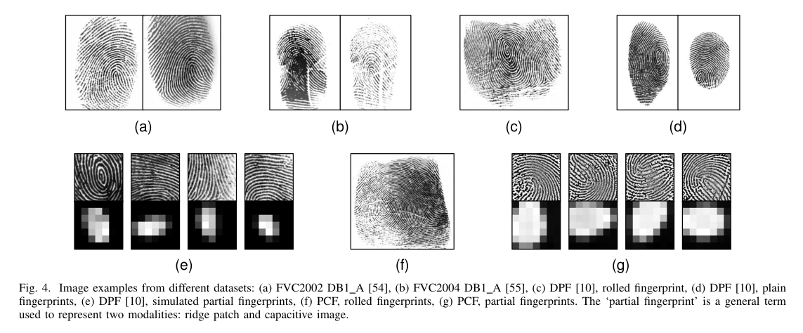 2025年5月6日】 论文- 知乎