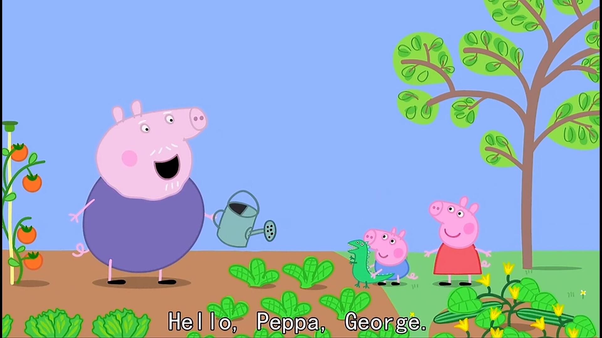 silly george! chocolate cake isnt a vegetable!chocolate cake!