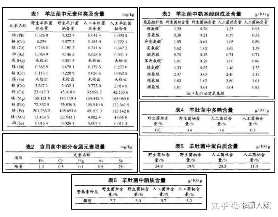 俗称羊肚子,羊肚蘑,是世界著名的野生食(药)用菌,在我国的《广菌谱》