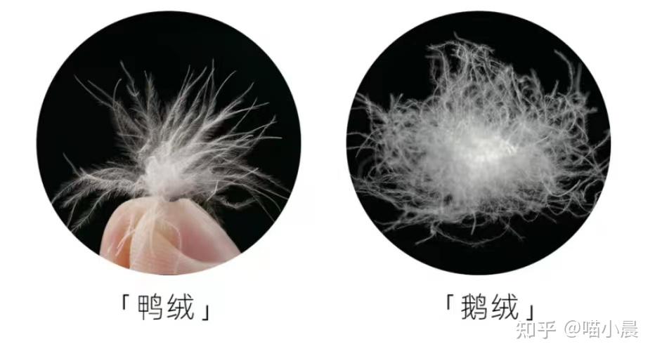 有什么性价比超高穿上超暖和的羽绒服推荐吗? - 知乎