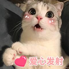 动图封面