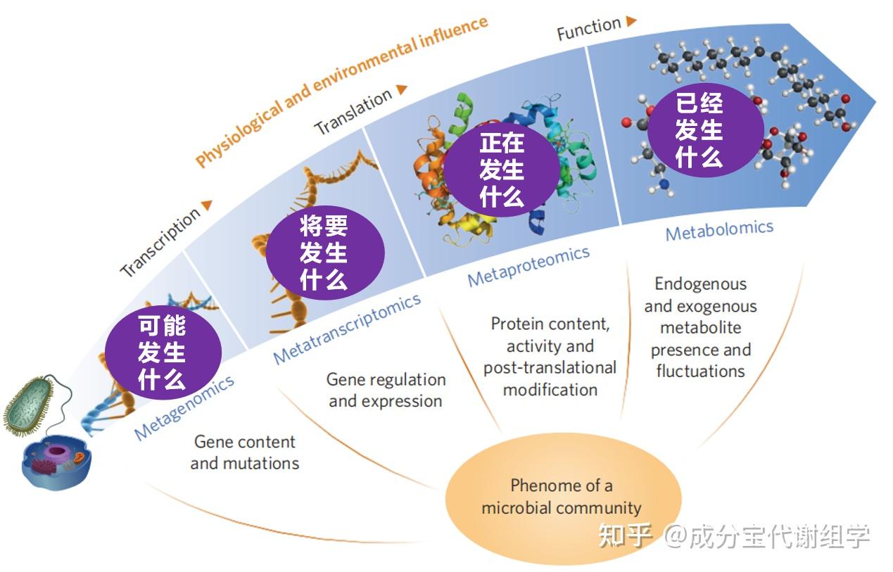 代谢组学入门全指南｜五分钟带你入门代谢组学 - 知乎