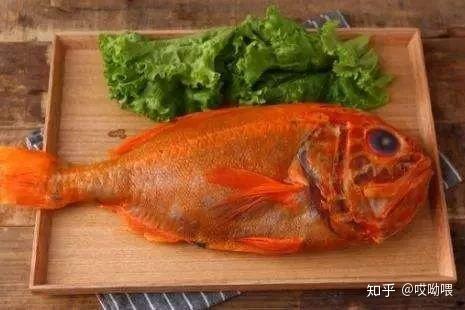 长寿鱼大西洋胸棘鲷