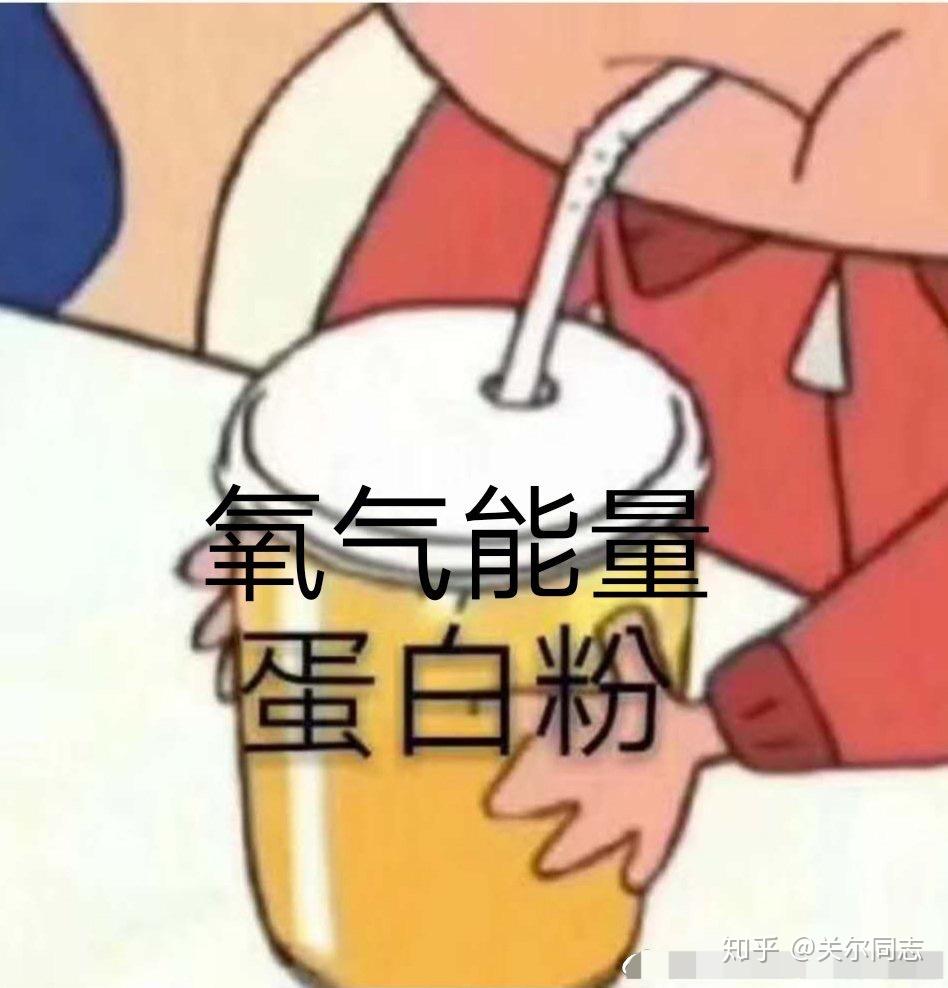氧气能量打开健身蛋白粉新世界大门
