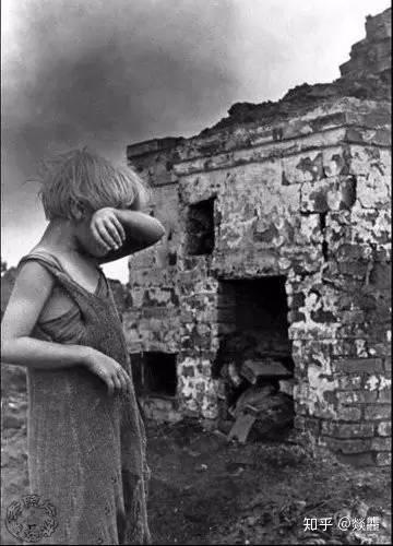 人类战争的真相