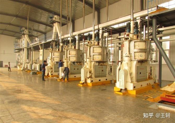 1.榨油机生产线