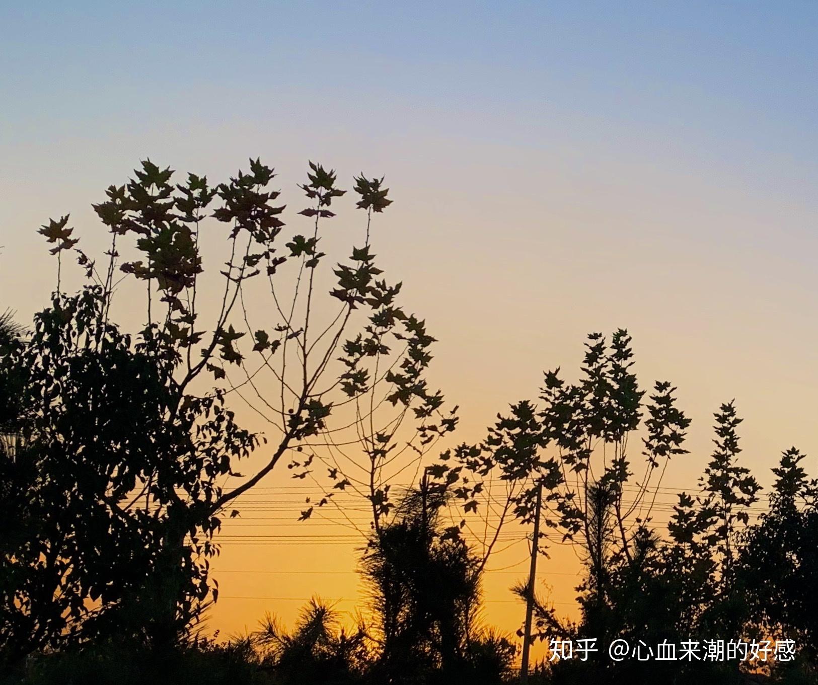 买x,xr还是xsmax,纠结到死的人?