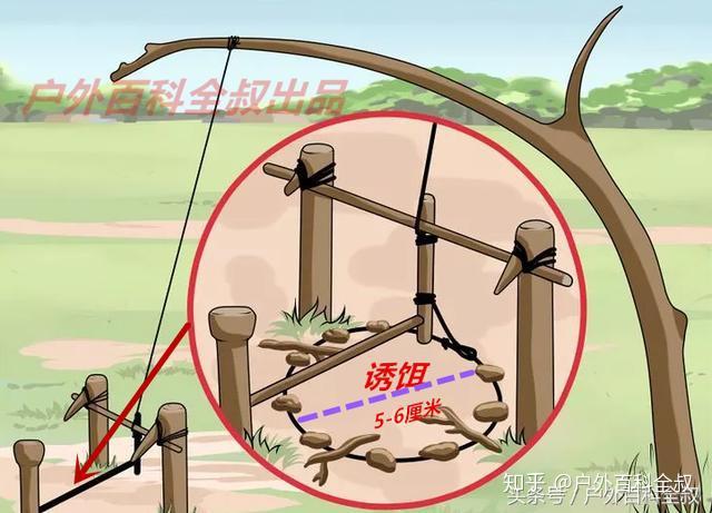 方法一,地面布置弹性诱饵机关,(此机关在上一课《抓兔子陷阱》曾经