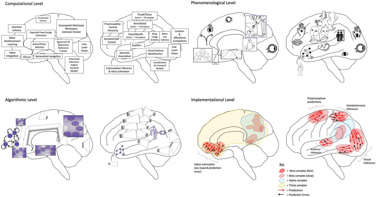 AGI&意识科学每周速递 | 2022年11月第四期 - 知乎