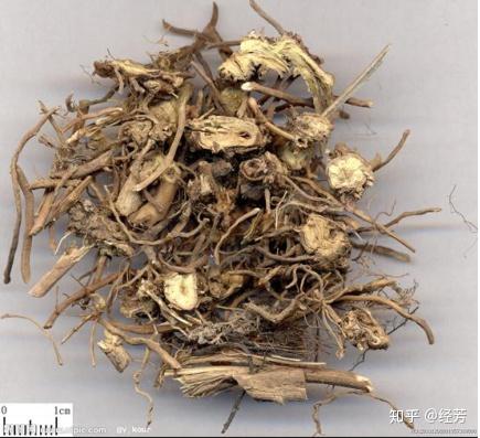 三清丸学习笔记(三)