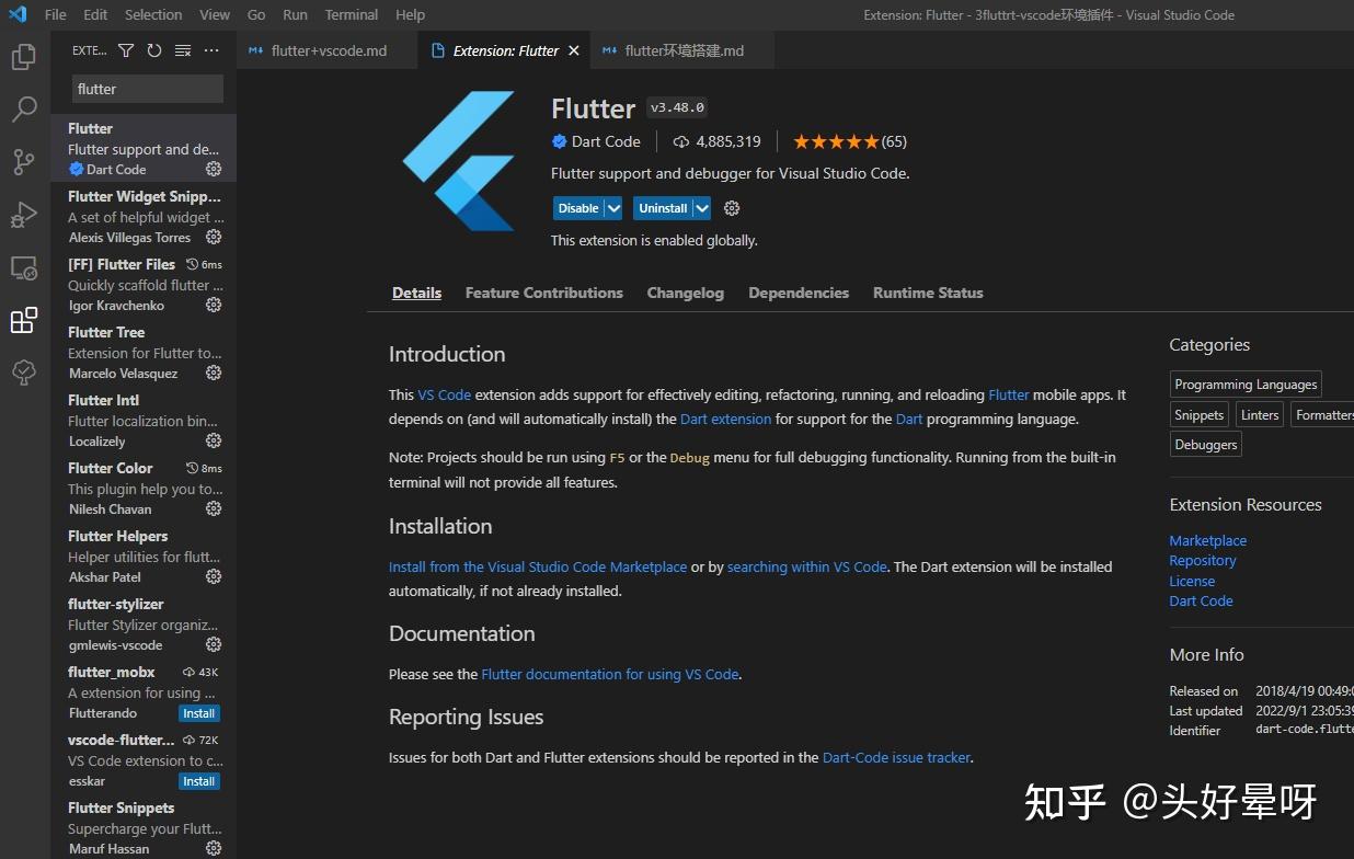 Flutter vscode vscode 