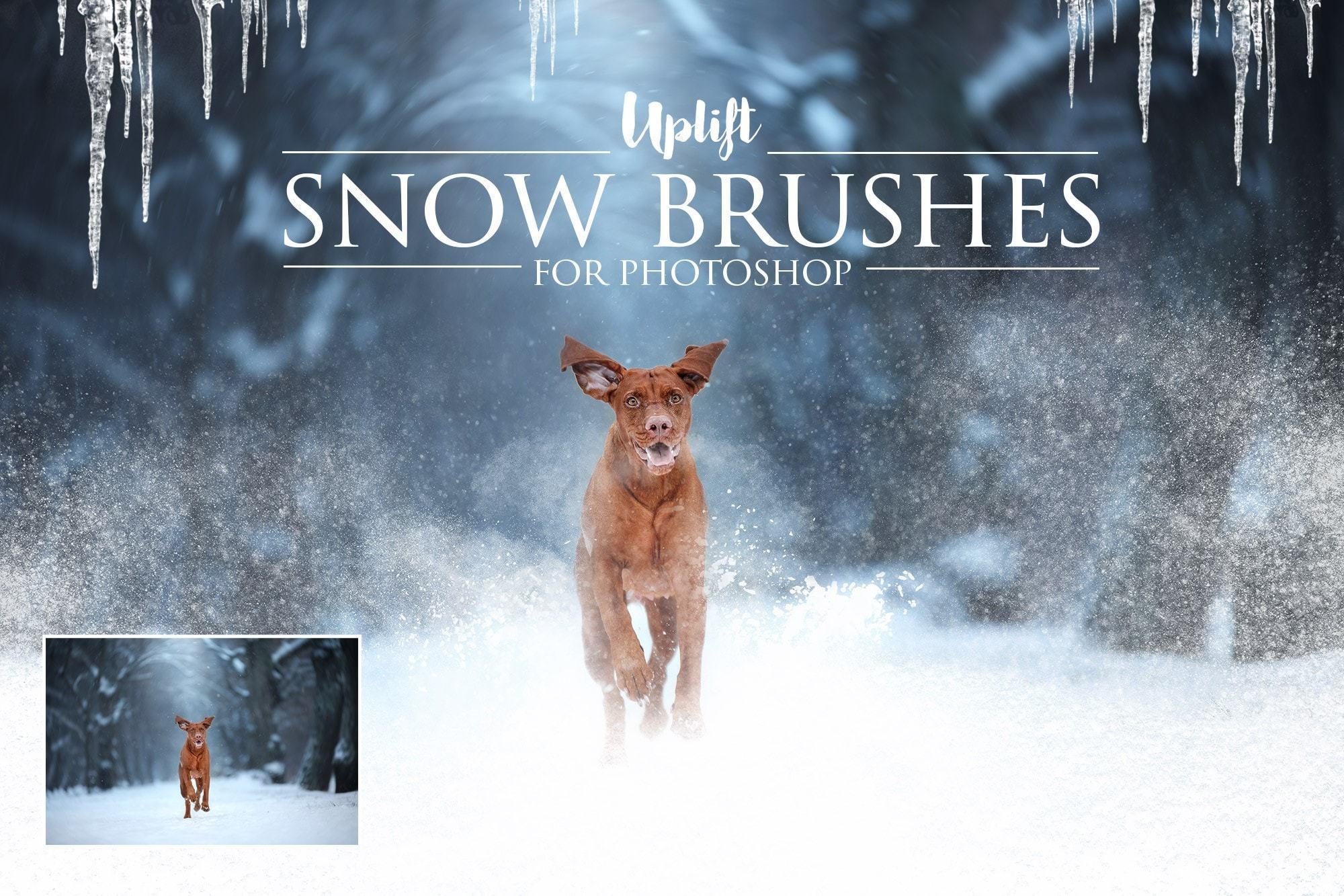 【S545】冬天雪地雪景后期PS笔刷 25 SNOW BRUSHES FOR PHOTOSHOP