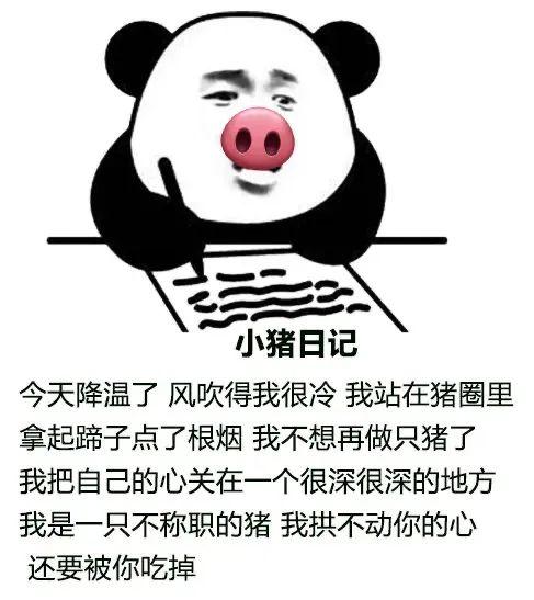 熊猫头记日记搞笑微信表情包