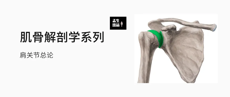 孤战