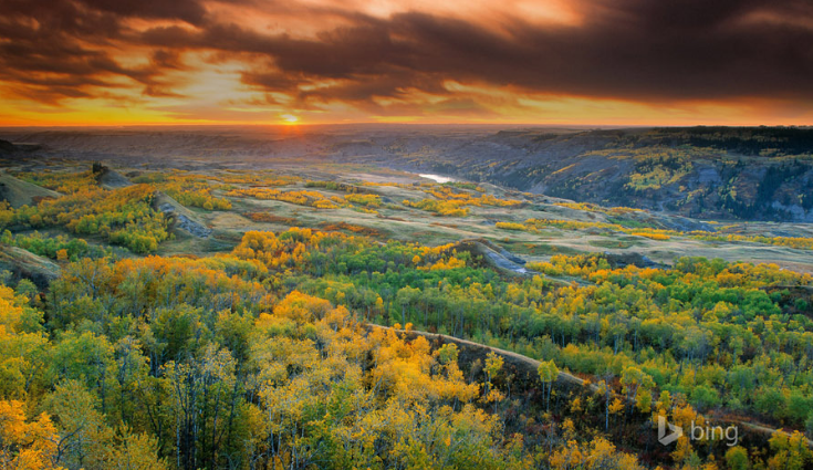中国人在日本开公司的好处是什么?