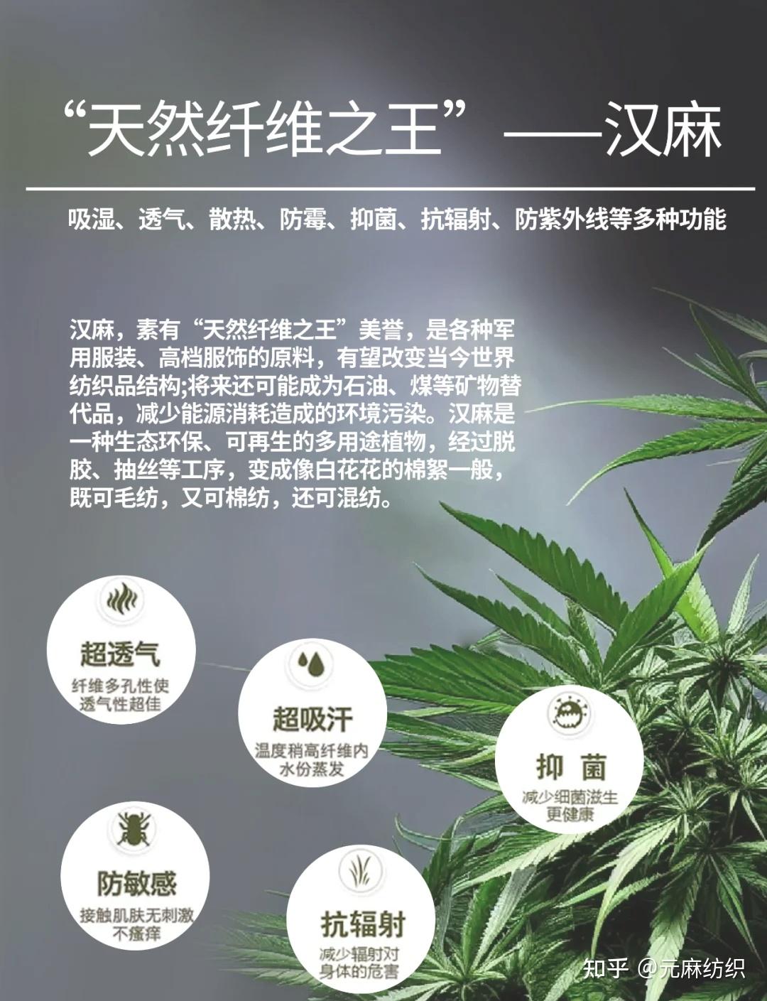 为什么说汉麻是“天然纤维之王” - 知乎