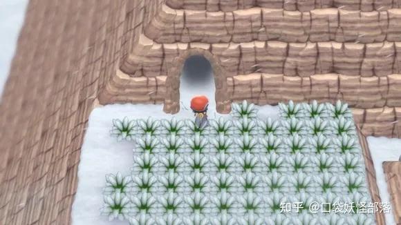宝可梦晶灿钻石发售日期(《宝可梦晶灿钻石明亮珍珠》一周目图文攻略)  第298张
