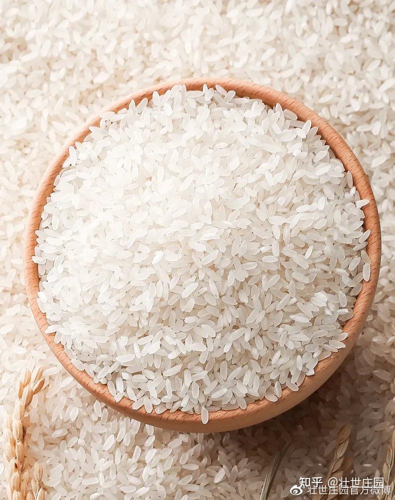 新香糯稻米沁人心脾你吃了没