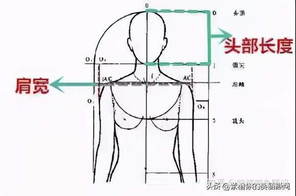 头太大 肩太窄不用怕 协调好头肩比能让你好看十倍 知乎
