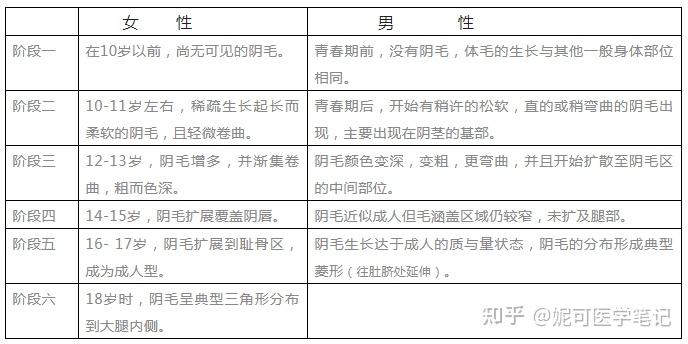 学习分享157阴毛有哪些类型阴毛卷曲阴毛位置瘙痒长痘