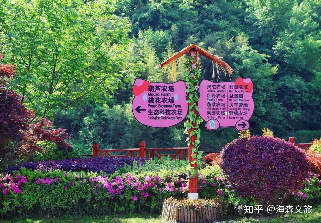 浙江安吉的鲁家村是个很好的案例.