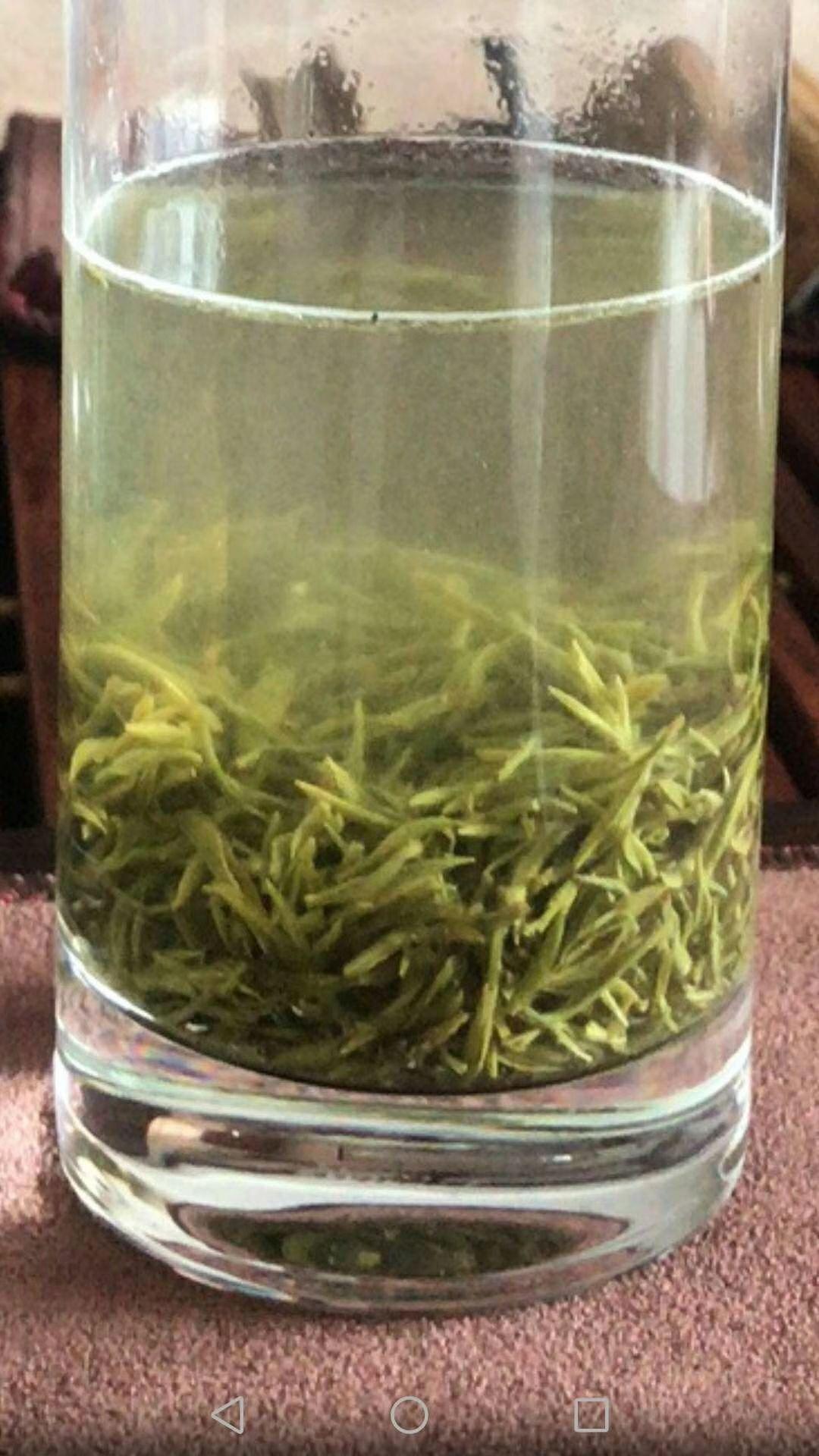 茶农二代聊一聊洞庭碧螺春2020年新茶即将上市苏州特产全国十大名茶