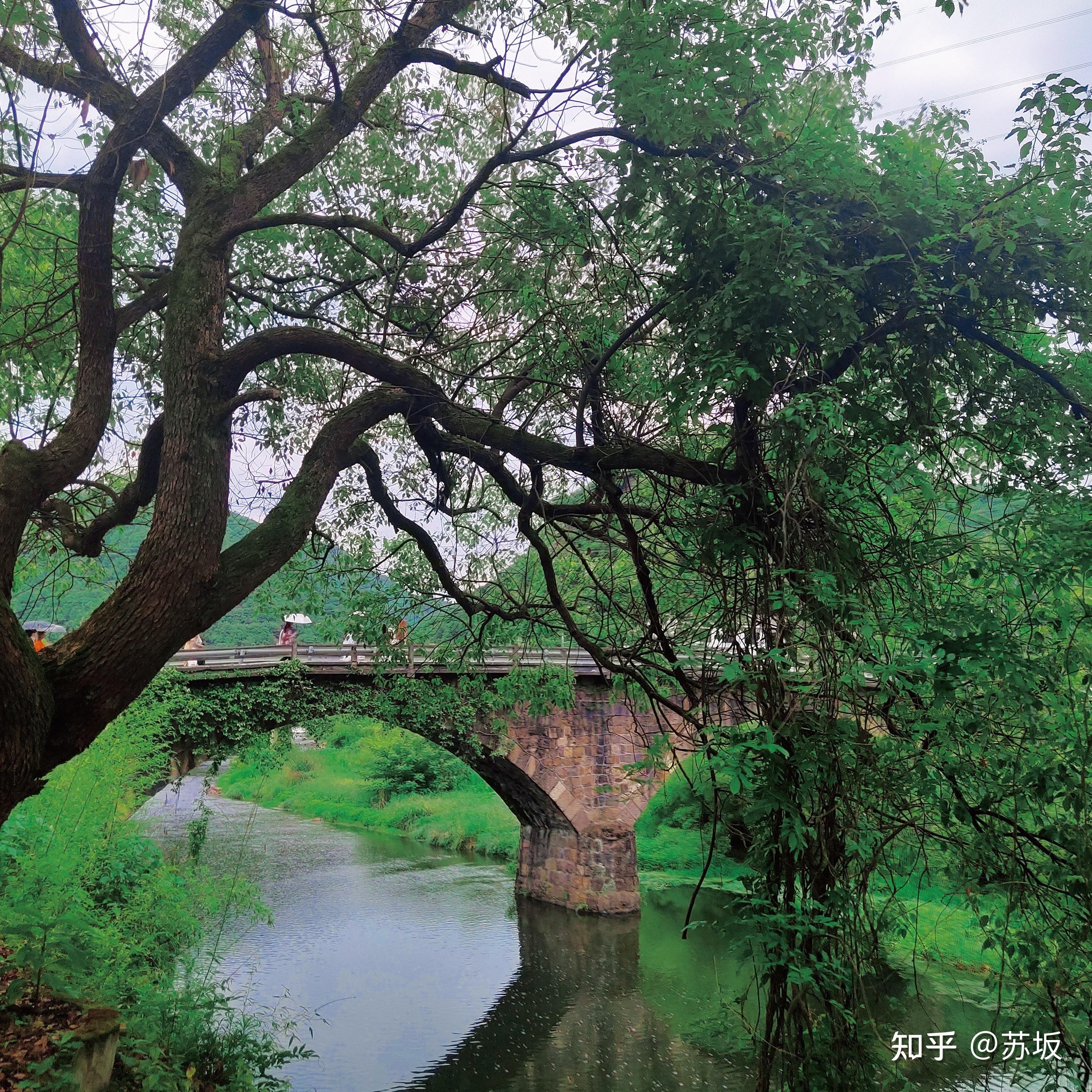 绍兴市大学生乡村振兴竞赛王坛镇六岸村