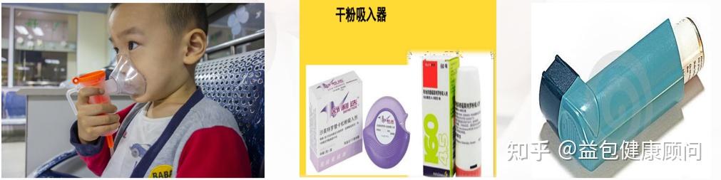svn)干粉吸入器(the dry powder inhaler,dpi)定量吸入器(the meter