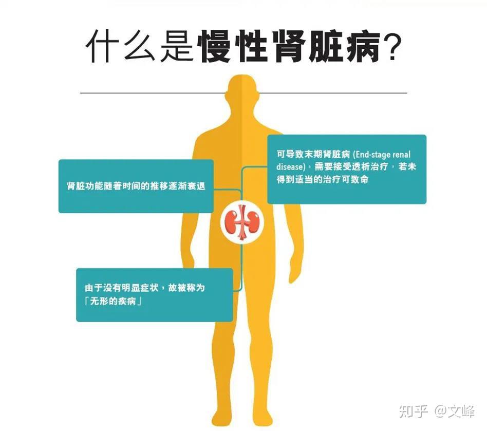 干细胞治疗肾病,对肾脏功能具有良好的修复和重建作用 