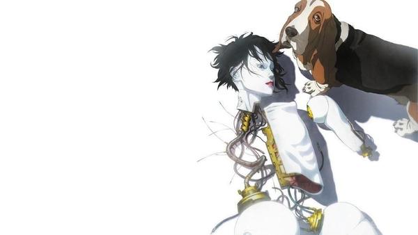 盘点那些诡谲妖艳口味重的 成人向 日本动画 知乎