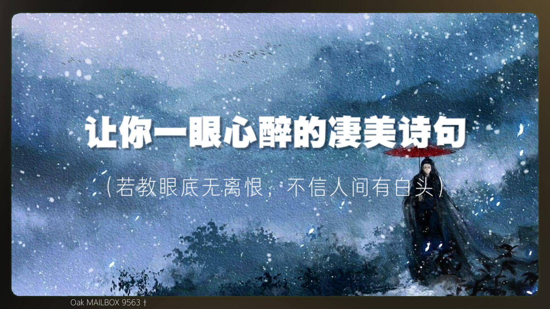 你发如雪凄美了离别