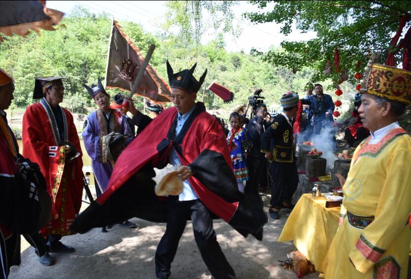 平正仡佬族鄉三月三祭樹節驚呆遊客千年神樹浮出水面