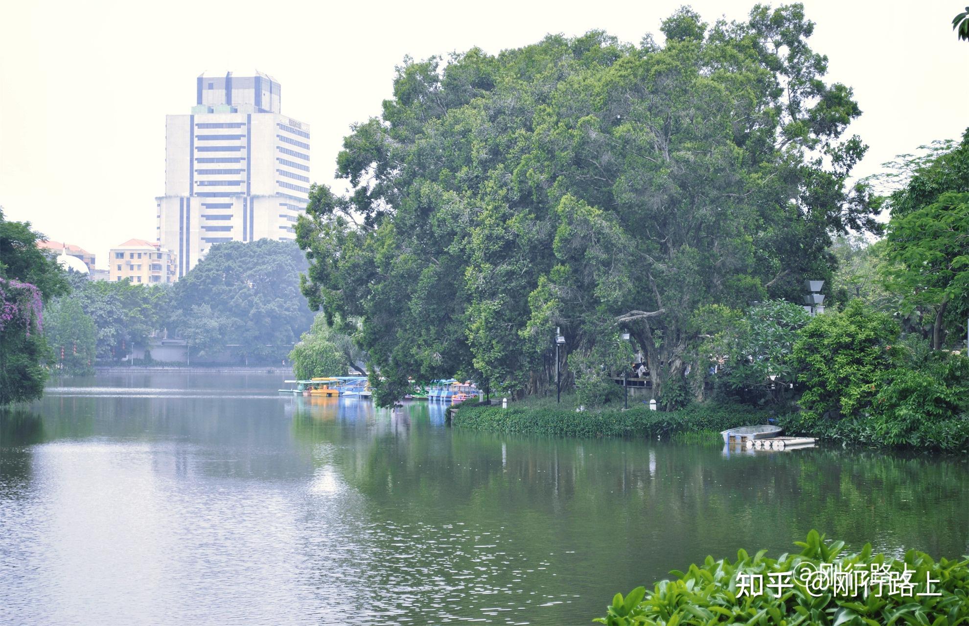 广州荔湾湖公园,能感受广州独特西关风情的地方