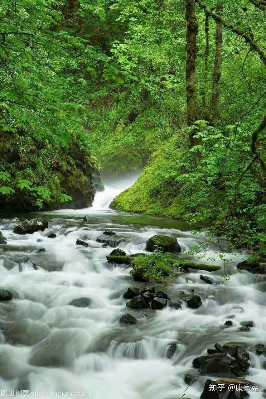 小河淌水慈祥的母亲康宗宪梦境系列第260季