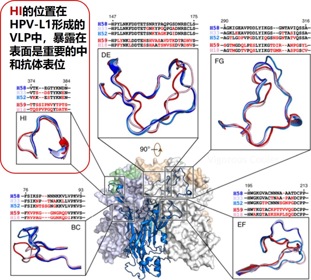 v2-5430dc5675262dabeba80ce98ac31e96_r.jpg