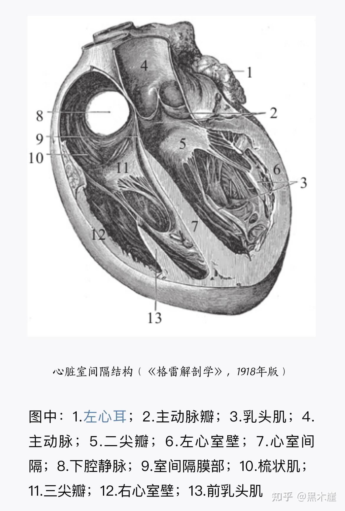 英）加文·弗朗西斯《认识身体》摘录：人体是上帝造物的完美化身- 知乎