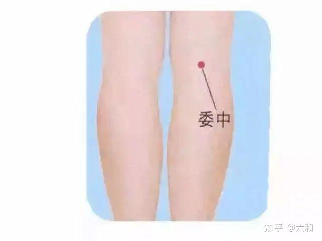 “8个总穴”对应口诀 - 知乎