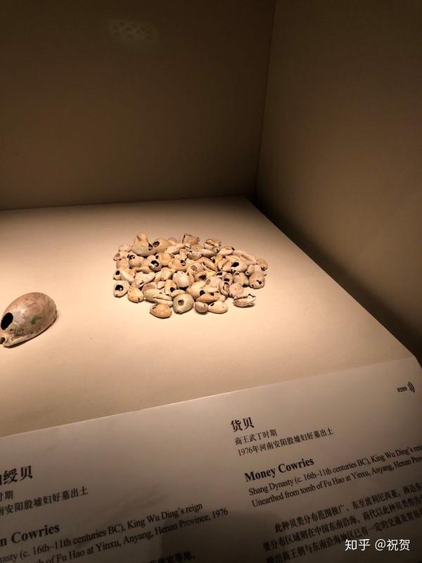 中国国家博物馆的贝币,商武丁时期