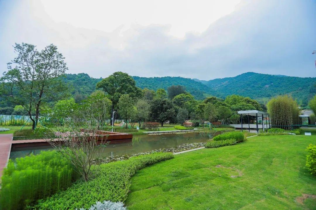 广州云谷 · 温泉院墅 69㎡-890㎡公寓 独栋别墅 - 知乎