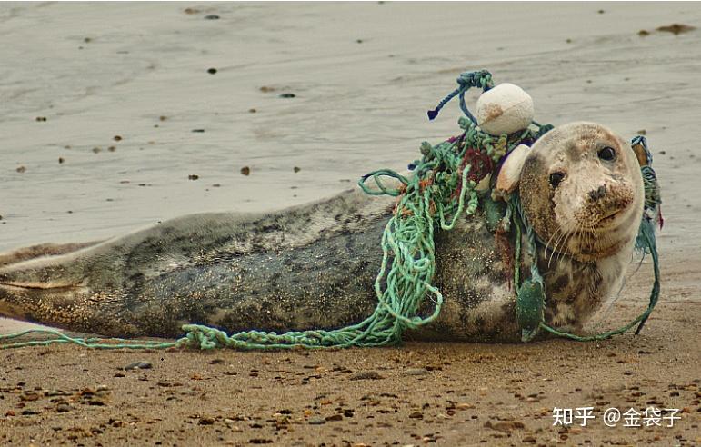 纷纷指责推销员,不对别人的生命负责.