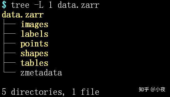 单细胞spatialdata中的zarr格式 - 知乎